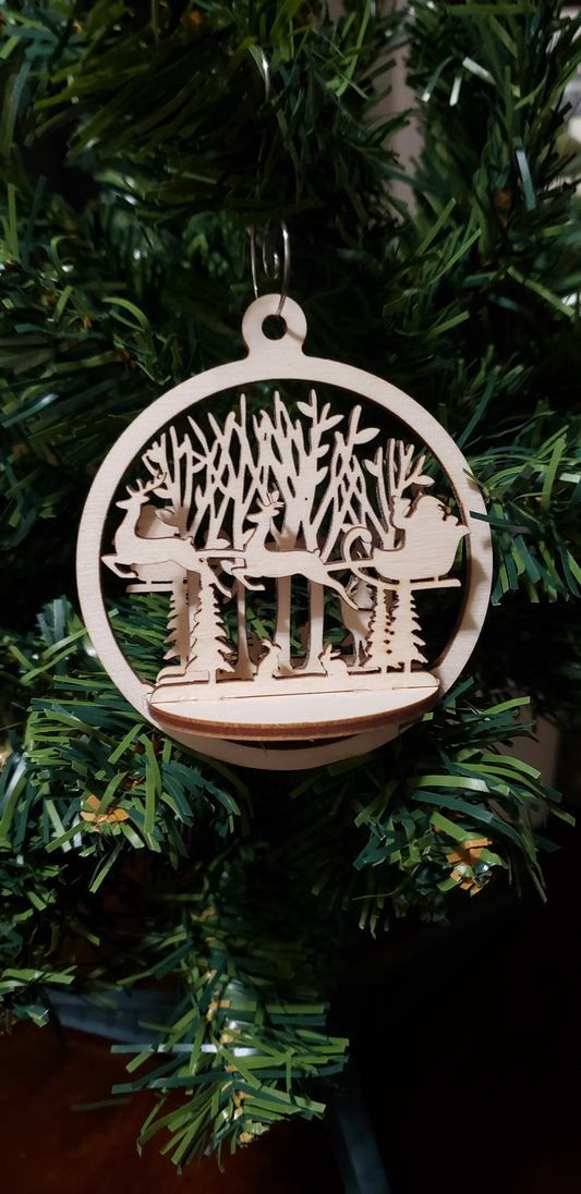 Ornament 10